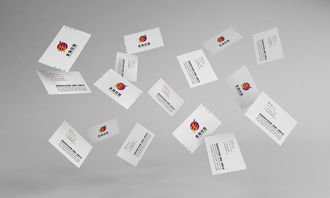 非揚(yáng)絲路企業(yè)VI形象設(shè)計(jì)與品牌策劃方案